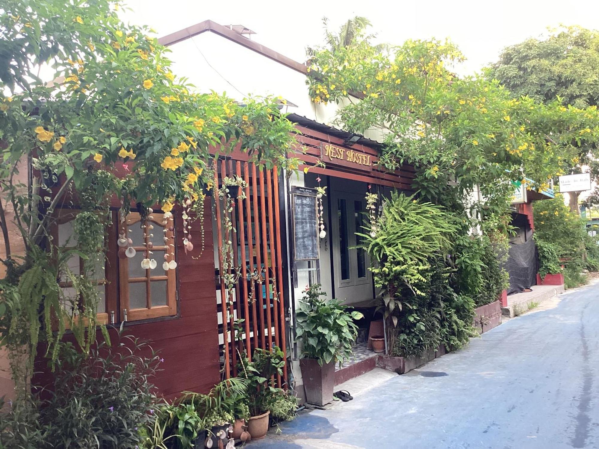 Nest Hostel Lipe 외부 사진