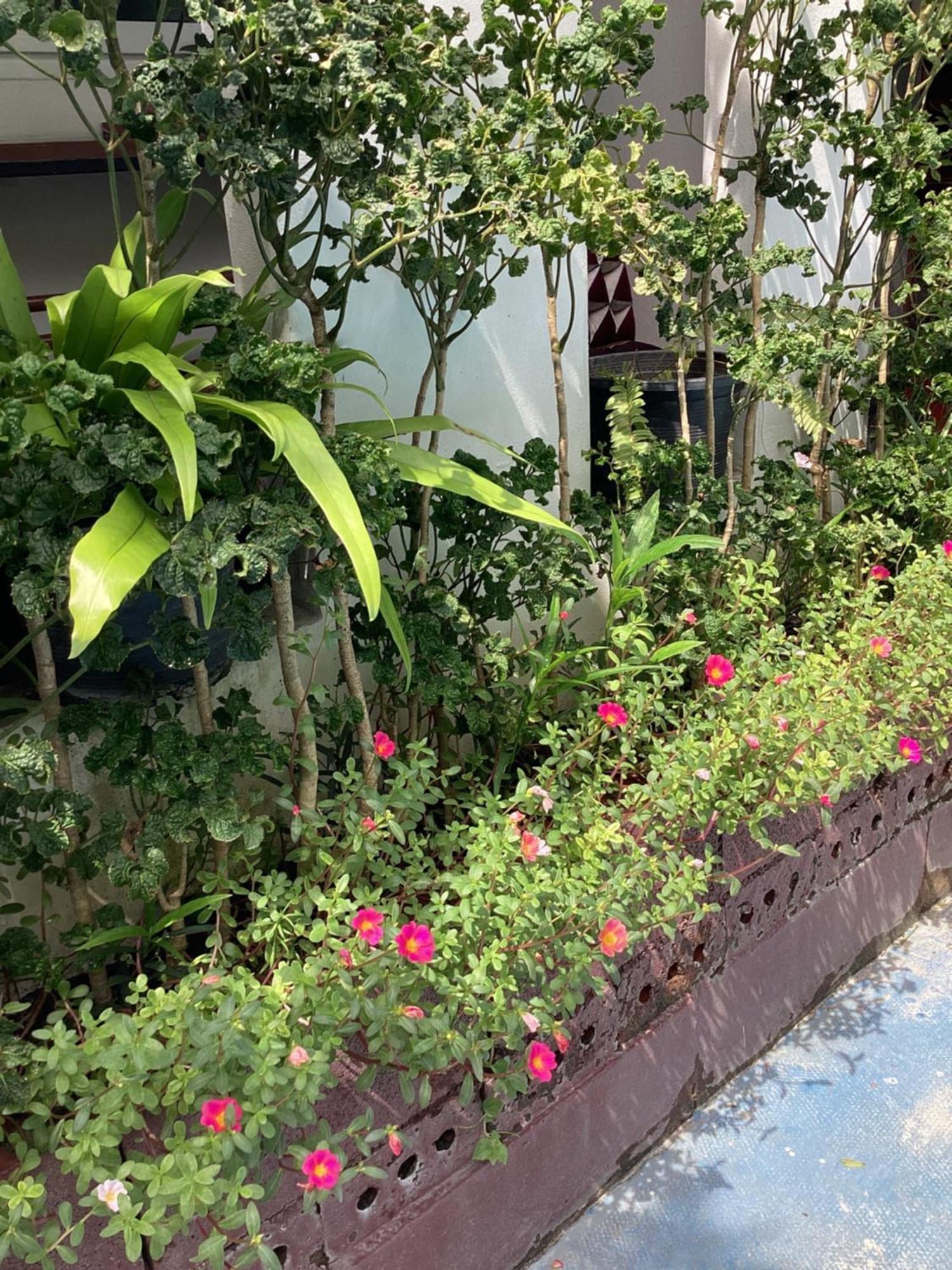 Nest Hostel Lipe 외부 사진